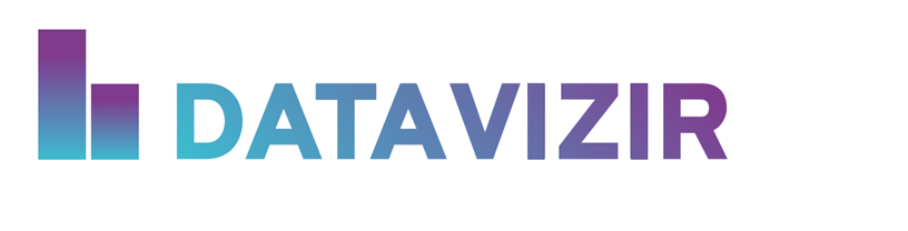 DataVizir Logo